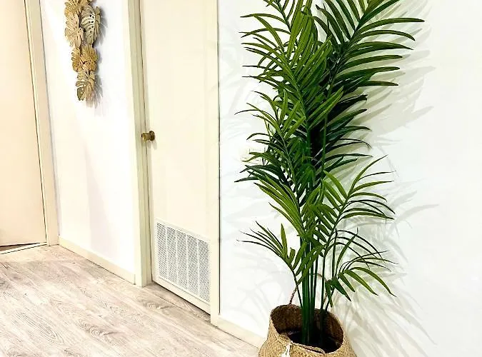 El Patio De Tendillas شقة